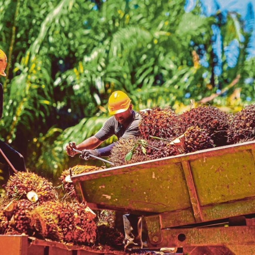 1017rssawit_1706007506