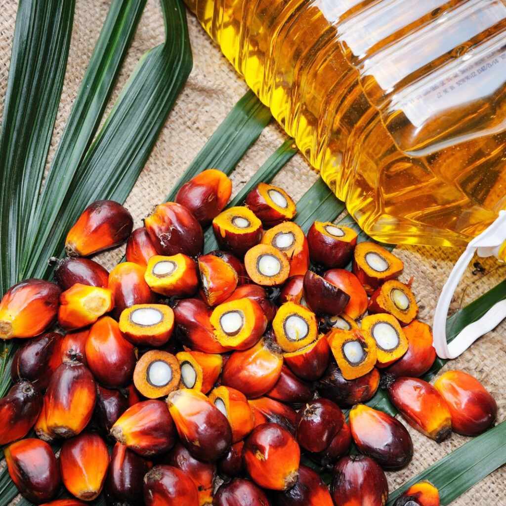 palm oil kernel